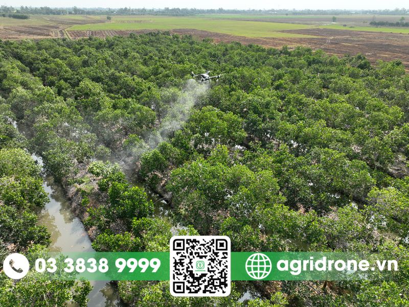Ưu điểm khi sử dụng máy bay không người lái phun thuốc tại Hải Dương