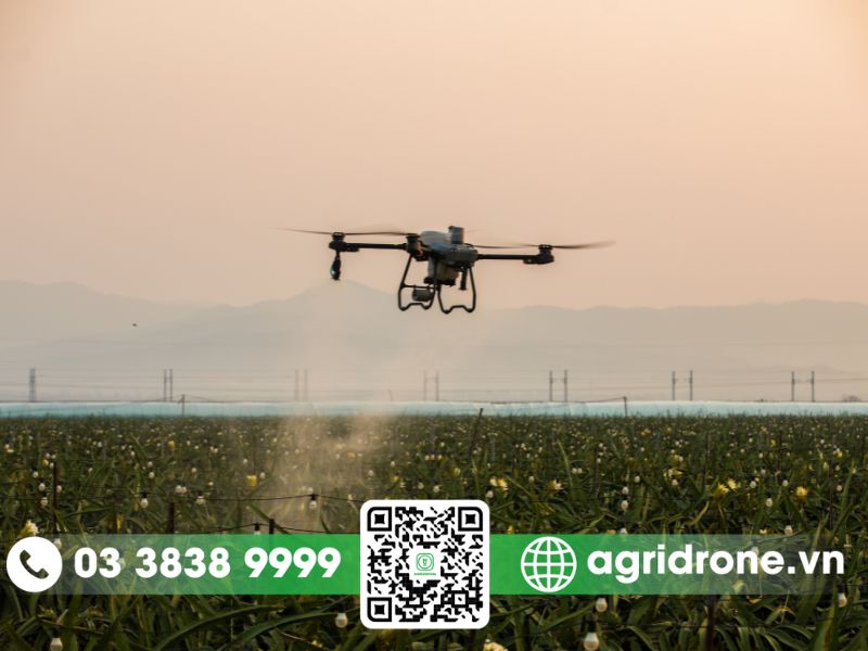 Dịch vụ phun thuốc Long An trên cây thanh long, chanh