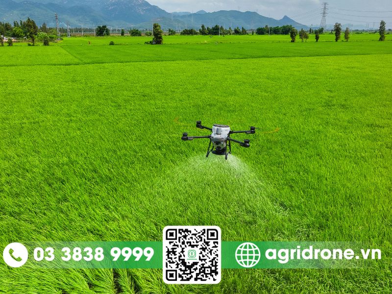 Hiệu quả của dịch vụ phun thuốc Vĩnh Long bằng máy bay điều khiển từ xa