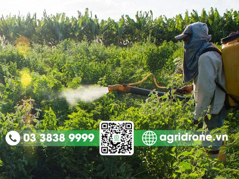 Nhu cầu dịch vụ phun thuốc tại Lâm Đồng