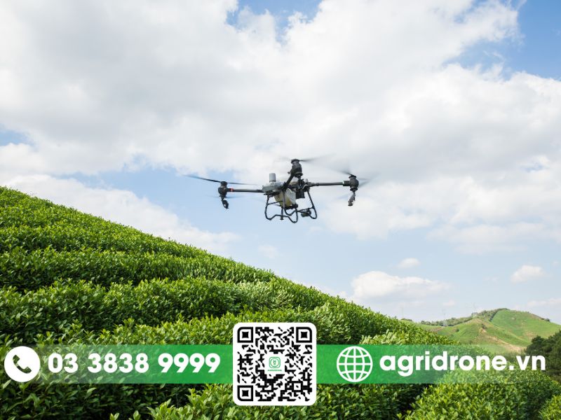 Dịch vụ phun thuốc Đắk Nông cho tiêu, điều, cao su, cà phê