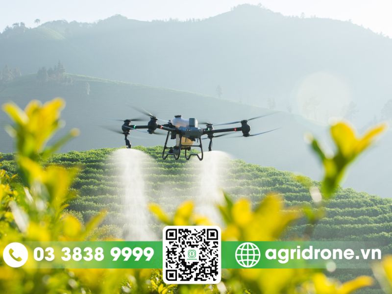 Dịch vụ phun thuốc Kon Tum cho tiêu, điều, cao su, cà phê