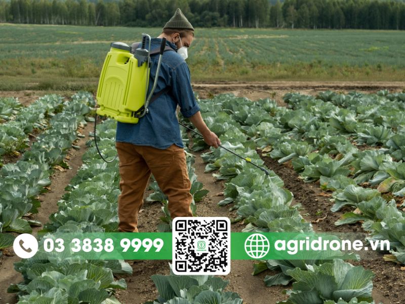 Cách làm thuốc trừ sâu sinh học tại nhà hiệu quả nhất