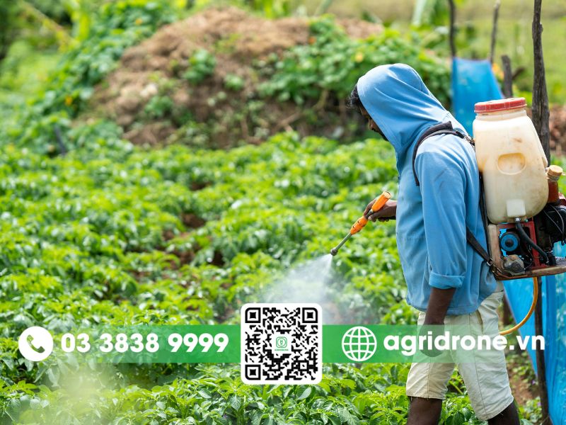 Cách làm thuốc trừ sâu sinh học tại nhà hiệu quả nhất 5 Lưu ý quan trọng khi sử dụng thuốc trừ sâu sinh học tự chế