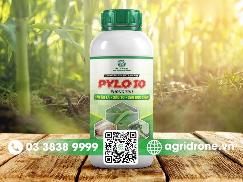 Cách làm thuốc trừ sâu sinh học tại nhà hiệu quả nhất 4 Thuốc trừ sâu sinh học từ vi sinh vật (chế phẩm EM)