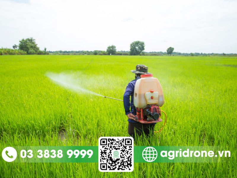 Top 5 máy phun thuốc trừ sâu chạy điện tốt nhất cho cây trồng