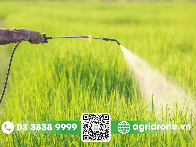 Dung dịch bón phân qua lá phải có là gì?