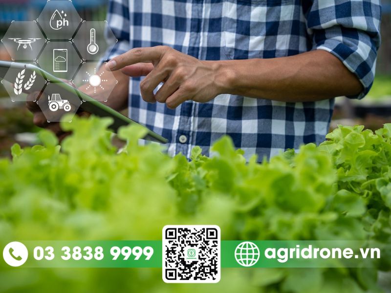 Các giải pháp phát triển nông nghiệp công nghệ cao