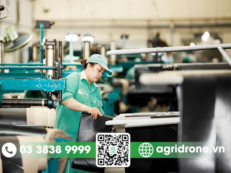 Chính sách hỗ trợ từ Nhà nước và doanh nghiệp
