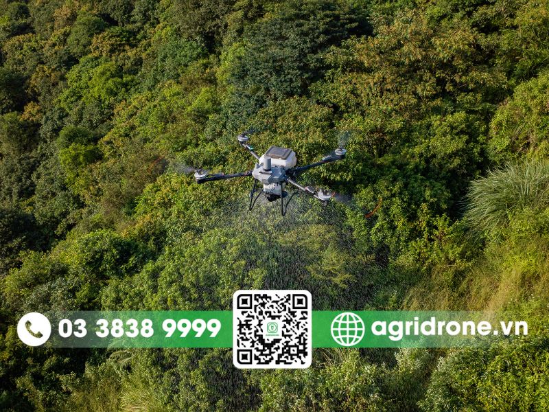 Hoa Kỳ – Nông nghiệp quy mô lớn và công nghệ cao