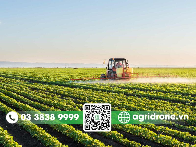 Úc: Nông nghiệp quy mô lớn, quản lý tài nguyên nước hiệu quả