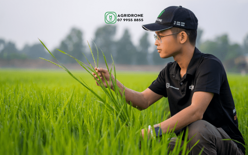 Nong nghiep thong minh giup giai quyet nhieu bai toan cho nhung van de nguoi nong dan dang phai doi mat