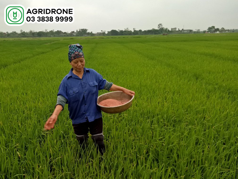 bon phan thuc la bon vao thoi diem nao 01