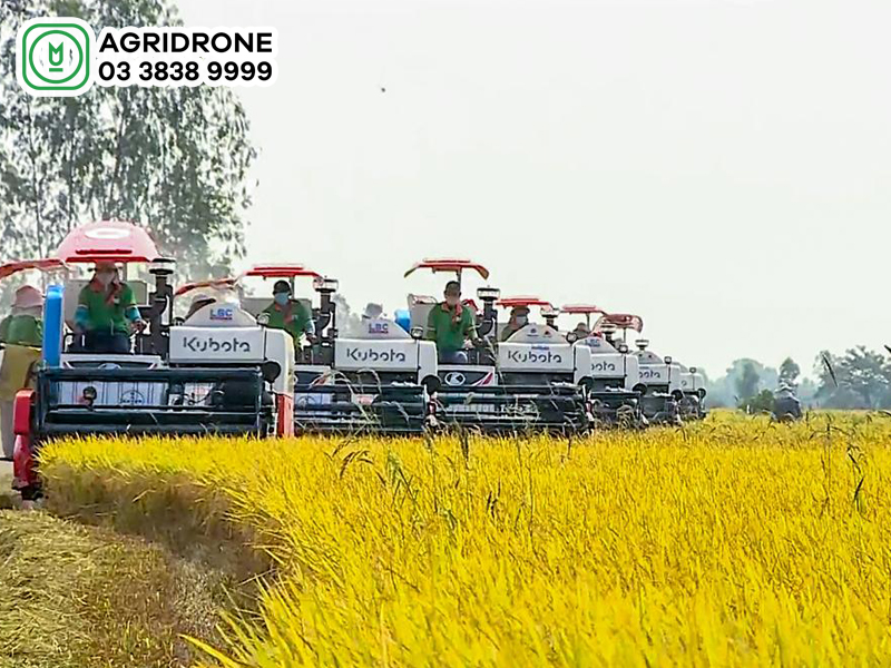 co gioi hoa dong bo 01