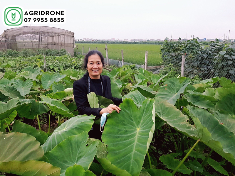 dich vu phun thuoc ninh binh