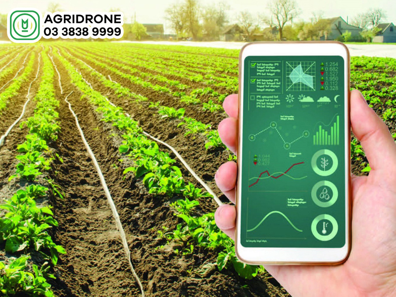 hien dai hoa nong nghiep 2