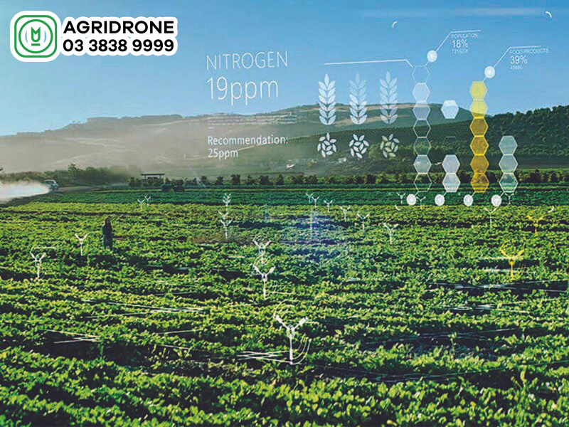 mo hinh nong nghiep hien dai 1