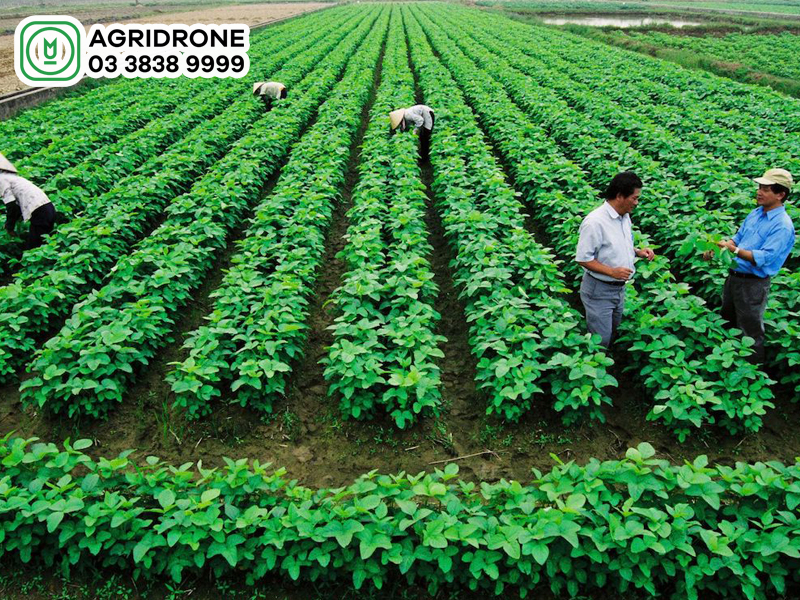 nong nghiep hien dai la gi 1