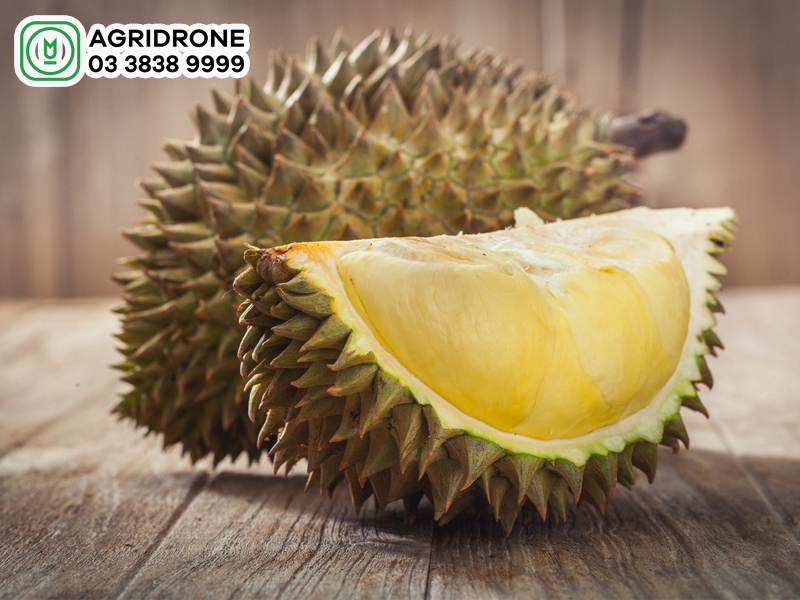 sau rieng monthong 3