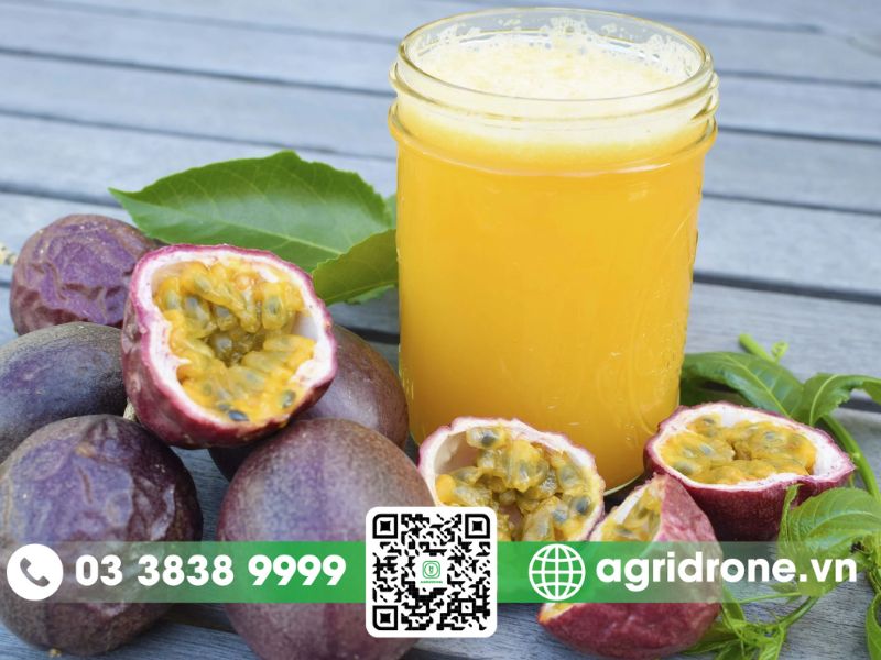 Lợi ích của giống chanh dây thông đỏ