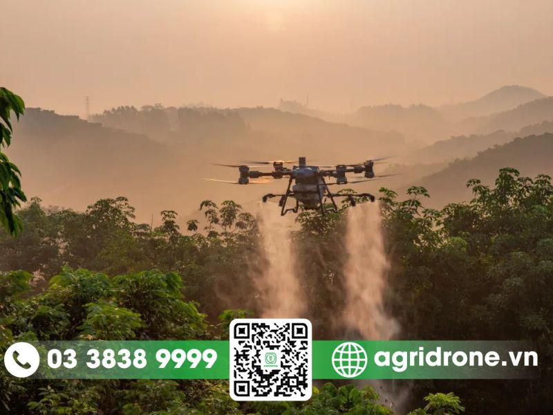 Phòng trừ sâu bệnh hại cho cây chanh dây thông đỏ bằng máy bay phun thuốc
