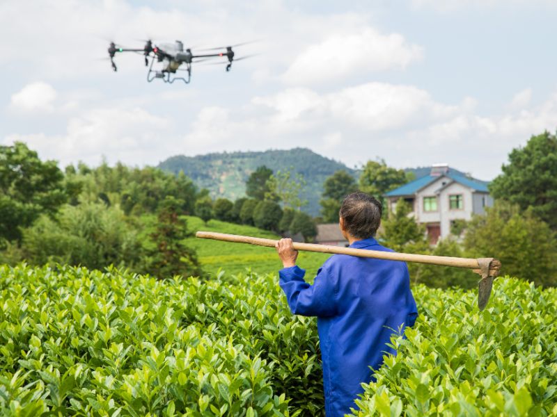 Máy bay nông nghiệp đã thay đổi người nông dân Việt Nam như thế nào?