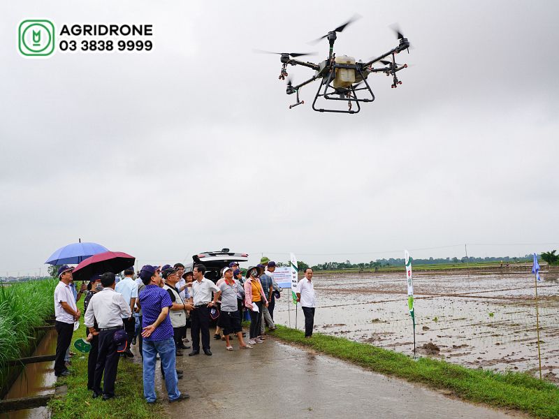 Phun thuốc bằng drone thu hút sự quan tâm và chú ý của đông đảo bà con nông dân