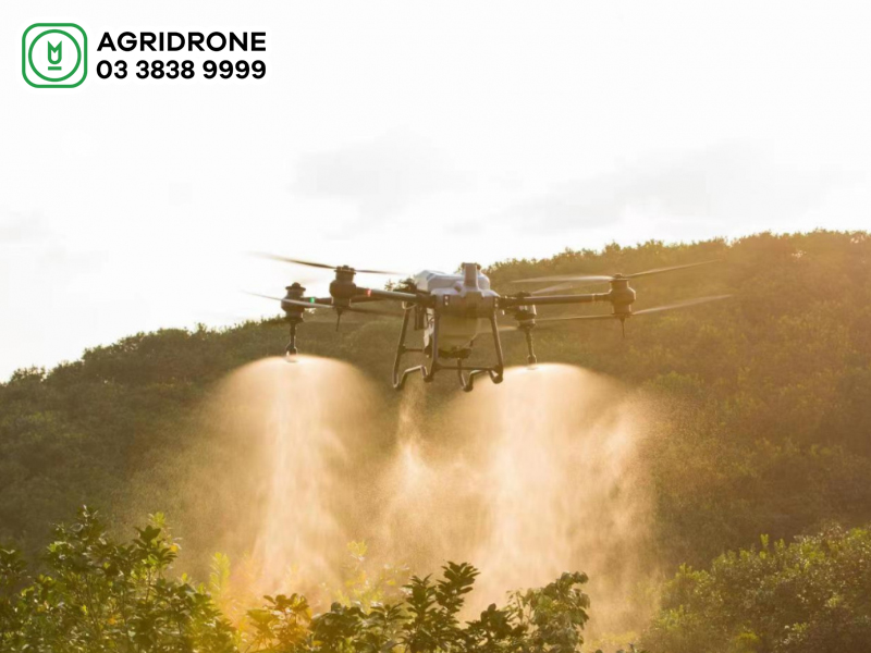 Máy bay phun thuốc trừ sâu tốt nhất