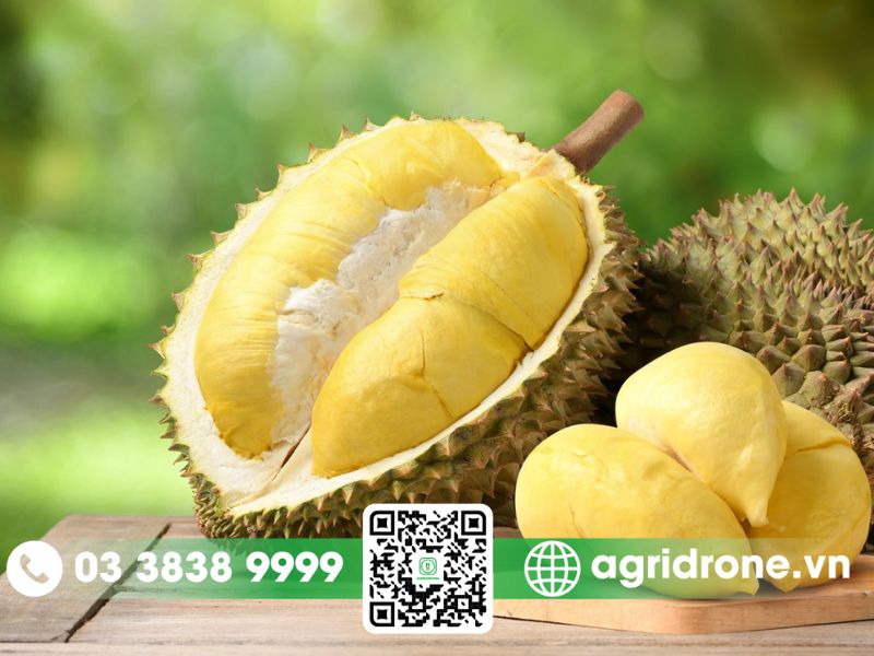 Cách chọn sầu riêng ngon, chín tự nhiên, nhiều múi