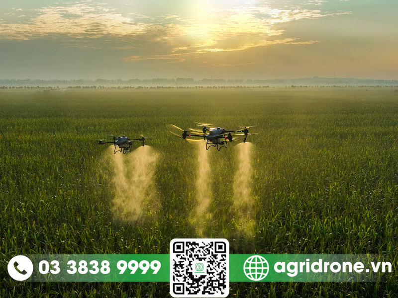 Drone nông nghiệp có giá bao nhiêu