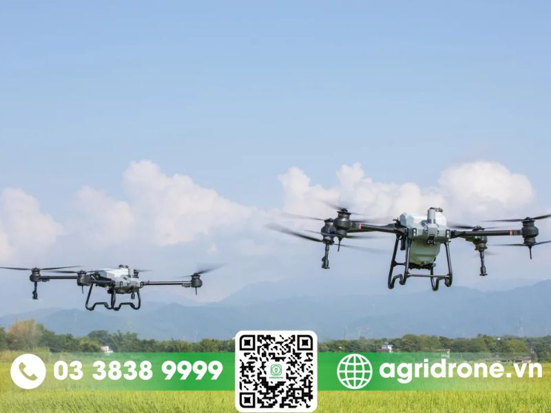 Nên chọn máy bay phun thuốc DJI T20P hay DJI T40?