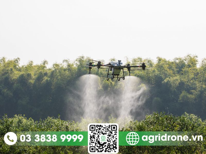 Nên lựa chọn máy bay phun thuốc DJI T30 hay DJI T40?