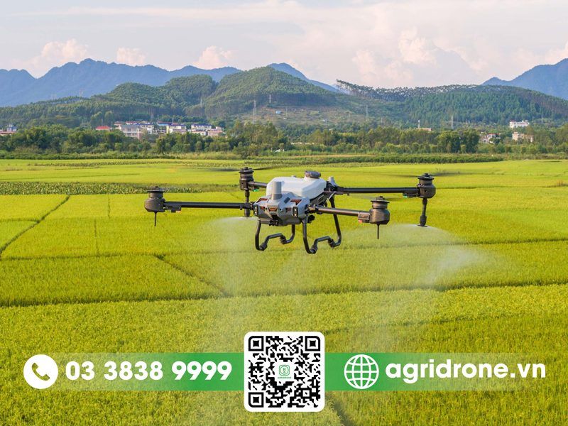 So sánh DJI T10 và DJI T20P: máy bay phun thuốc nào tốt hơn?