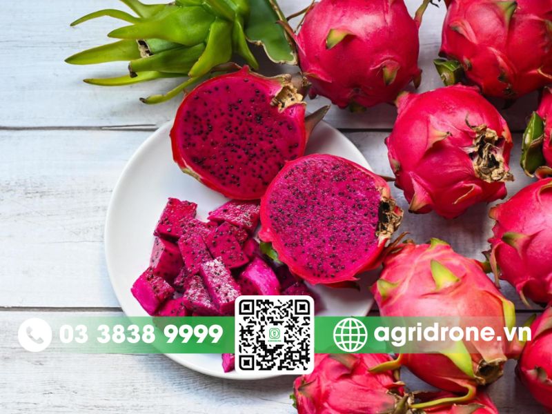 Đặc điểm nổi bật của thanh long ruột đỏ