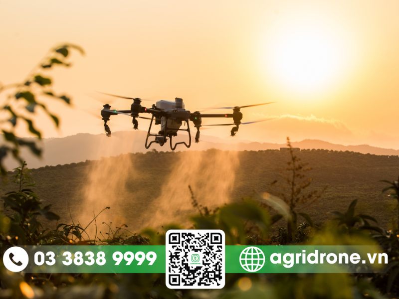 Dịch vụ phun thuốc Đồng Nai cho hồ tiêu, xoài, bưởi, sầu riêng