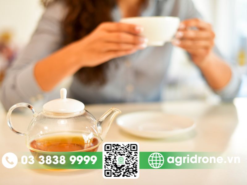 Tăng cường chức năng não bộ 