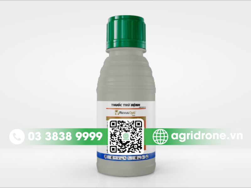 Top các loại thuốc trị nấm cho cây tiêu hiệu quả