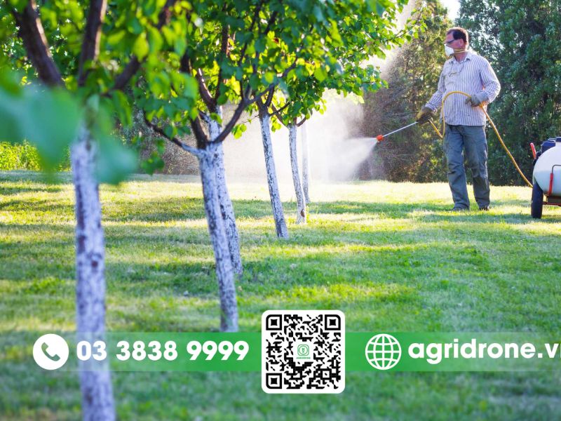 Các phương pháp phun thuốc trừ sâu cho cao su hiệu quả cao
