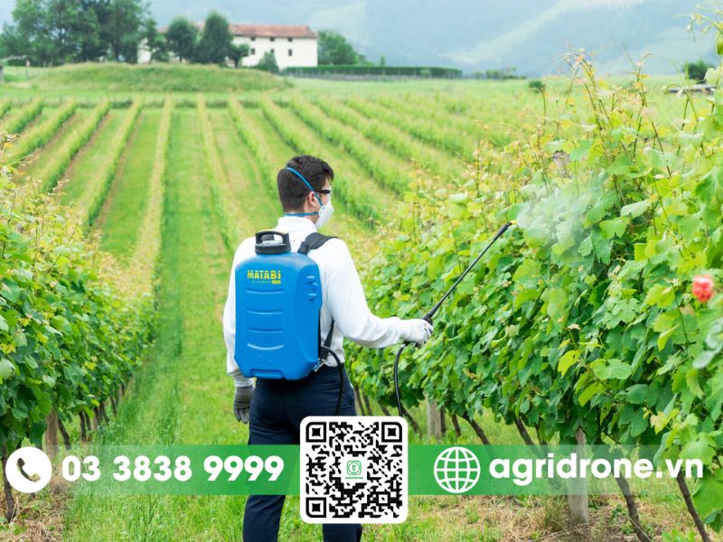 Phương pháp phun thuốc trừ sâu cho cây nho xanh tốt 2 Các phương pháp phun thuốc trừ sâu cho cây nho