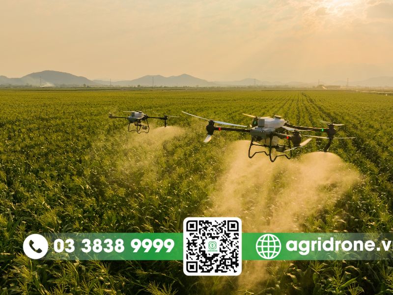 Hướng dẫn kỹ thuật phun thuốc trừ sâu cho cây cao su an toàn