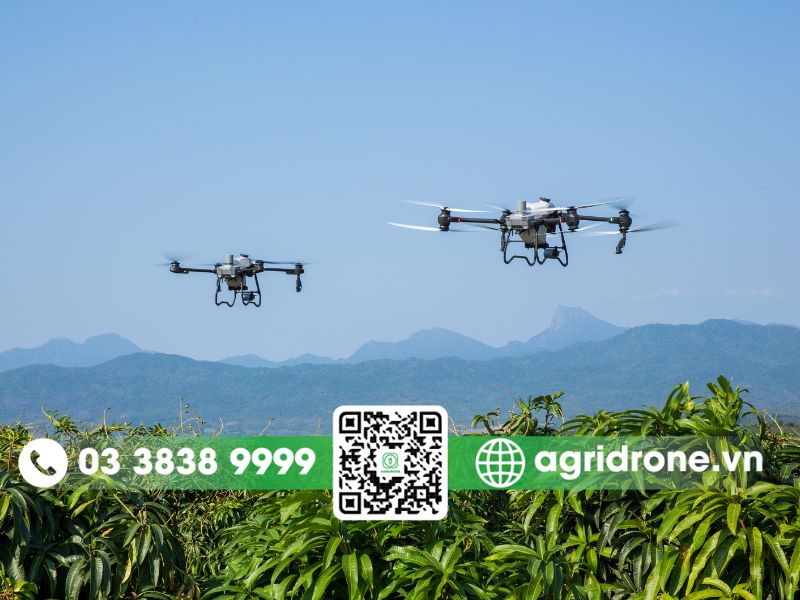 Máy bay phun thuốc trừ sâu cho cây ngô