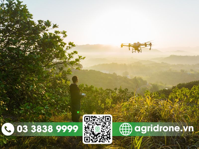 Phun thuốc bằng drone