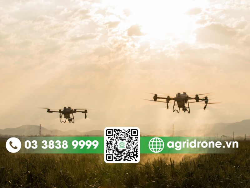 Phun thuốc bằng drone nông nghiệp cho cây đào