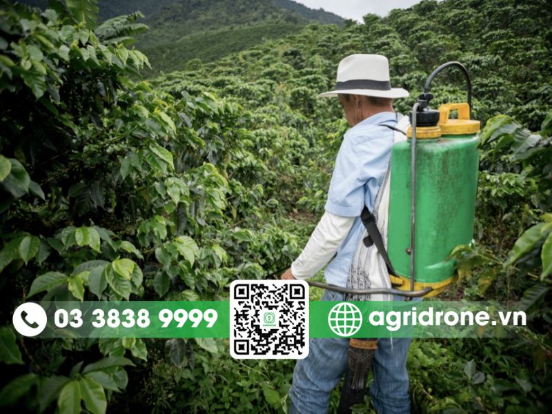 Phun thuốc trừ sâu bằng bình tay hoặc bình áp lực cho cà phê 