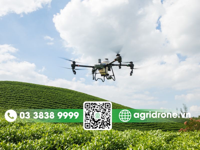 Phun thuốc trừ sâu cho cây cà phê bằng drone nông nghiệp