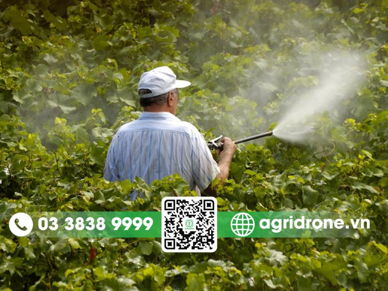 Phun thuốc bằng bình tay hoặc máy xịt lưng