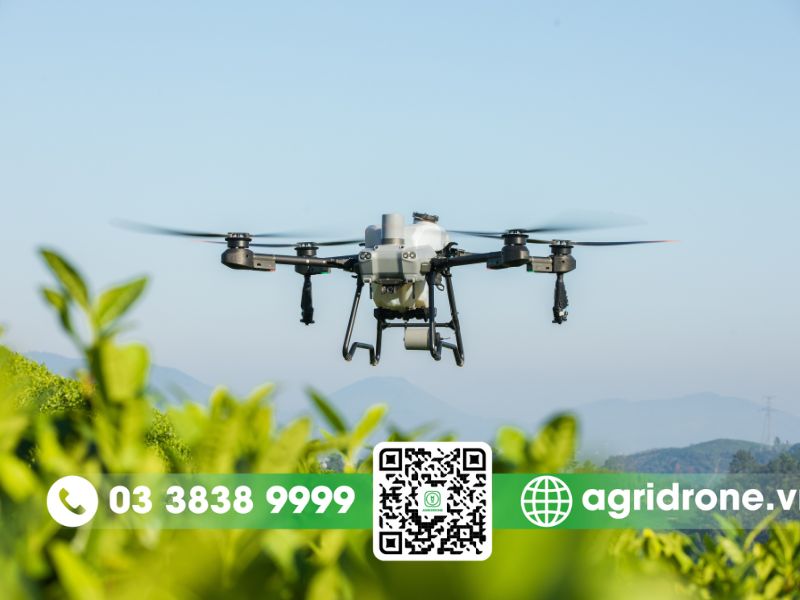 Phương pháp phun bằng máy bay xịt thuốc cho cao su