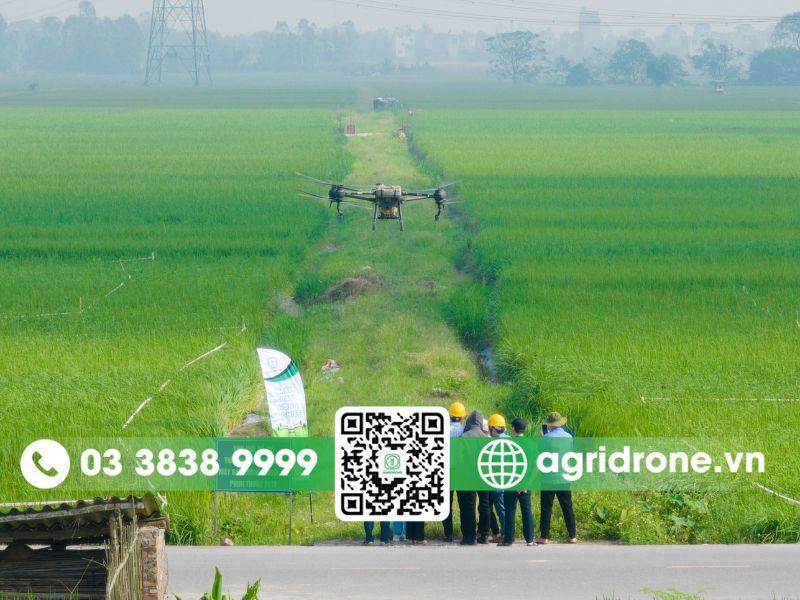AgriDrone - Lựa chọn hàng đầu để mua DJI Agras T70P chính hãng tốt nhất