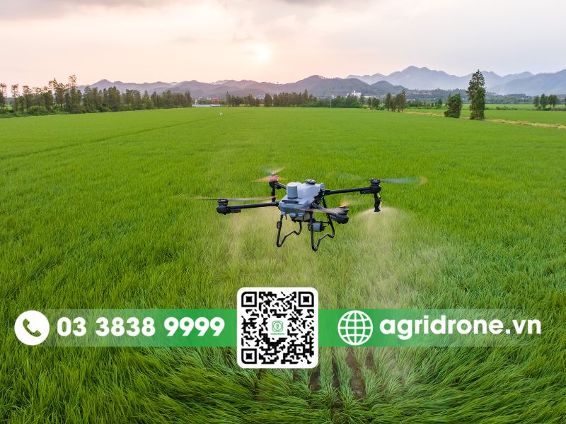 Các yếu tố cần cân nhắc trước khi đầu tư DJI T25P
