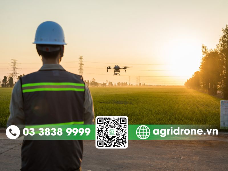 Cách sử dụng DJI Agras T25P phun thuốc, rải phân đúng kỹ thuật